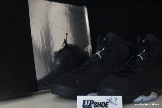 Jordan Retro DX2836-001 6 DX2836-001 Silver Metallic 0306